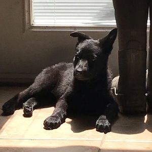 Meet your Posher, Brinley